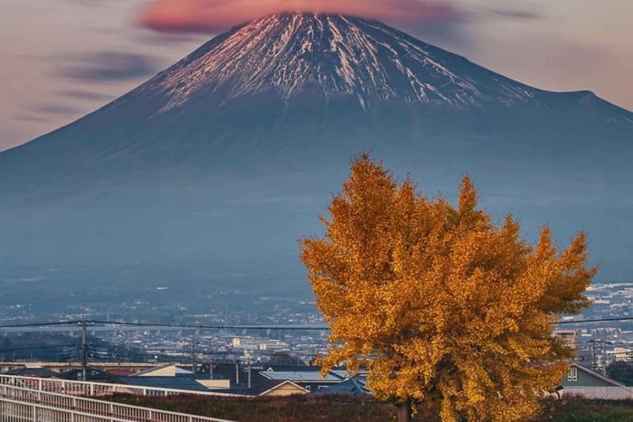 Mount Fuji and Hakone Day Trip with English Guide