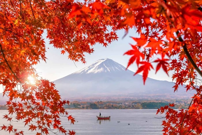 Mt. Fuji 6 Must-See Spots Tour: Lake Kawaguchi,Oshino Hakkai