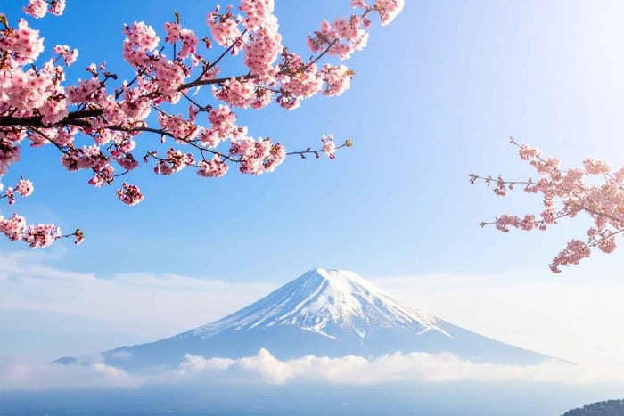 Mt Fuji Photography & Pilgrimage One-Day Tour From Tokyo