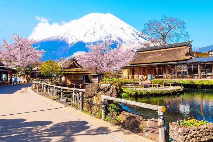 Mt Fuji, Saiko Village, Lake Kawaguchi, Oshino hakkai
