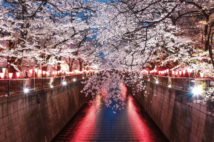 tour privato all'onsen e passeggiata al tramonto – Adatto a chi ha tatuaggi