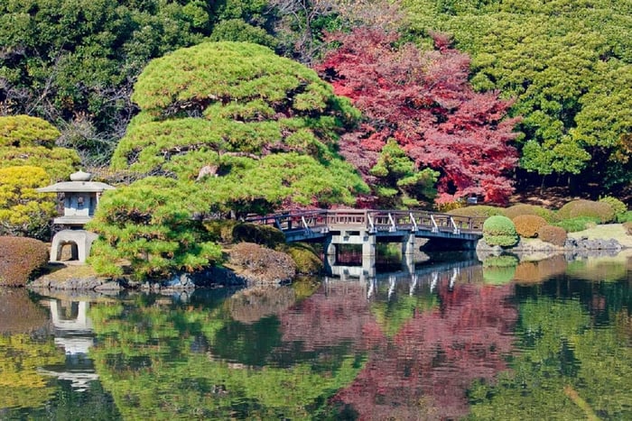 Shinjuku Gyoen National Garden Guided Walking Tour