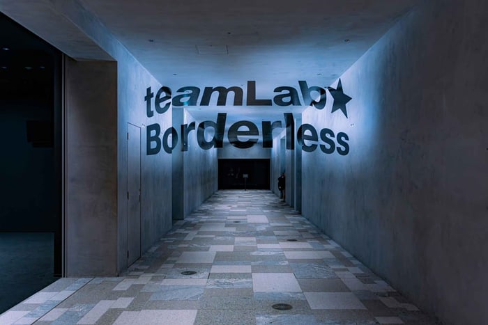 TeamLab Borderless & Roppongi Hills Skyline Tour
