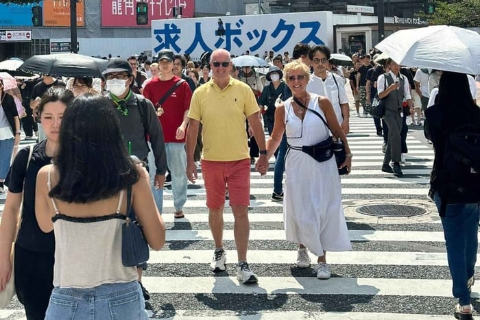 Tokyo: 1-Day Private Customizable Tour by Car