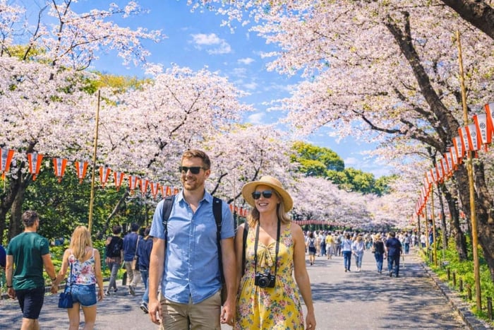 Tokyo Cherry Blossom Day Tour: Asakusa,Chidorigafuchi & Ueno