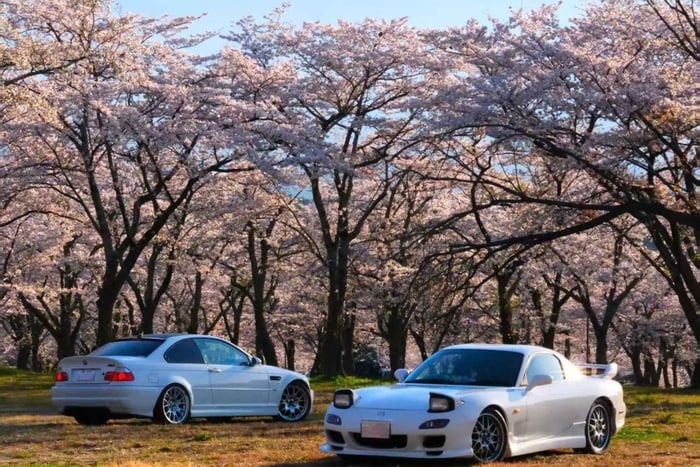 Tokyo Daikoku PA Local Speed Tour Tuned JDM,RX7,GTR,LC500,M5