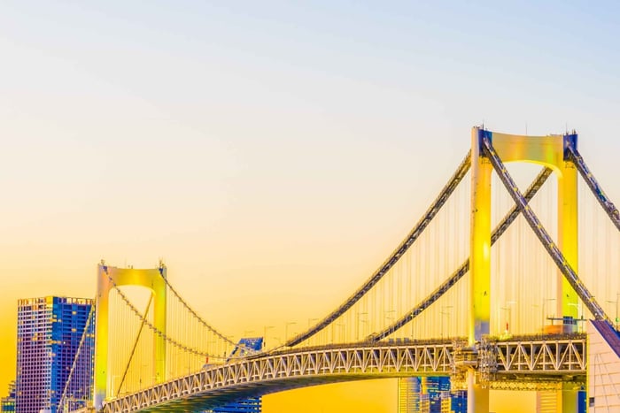 Tokyo Full Day Private Sightseeing Tour with English Driver
