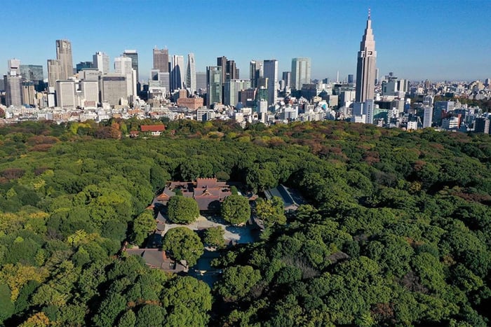 Tokyo: Meiji Shrine Walking Tour — Shinto & Imperial System