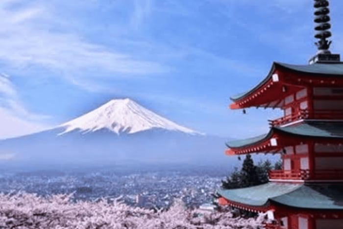Tokyo : Mount Fuji Full Day Private Customizable Tour
