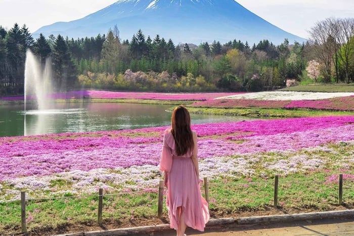 Tokyo - Mt Fuji customizable 6 Spots Full Day Private Tour
