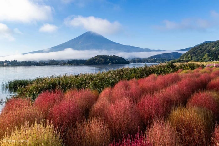 Tokyo, Mt. Fuji & Yokohama: 5-Day Highlights Tour