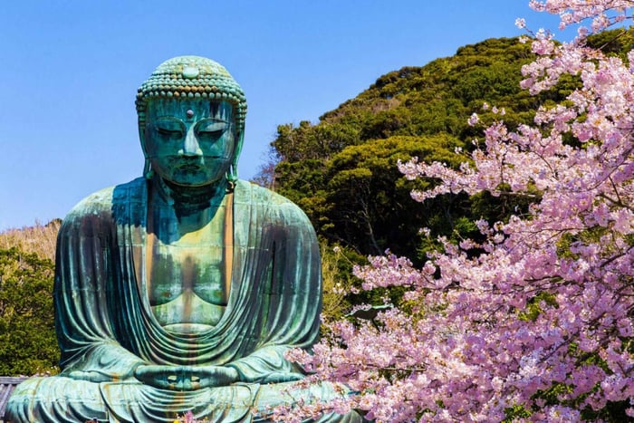 Tokyo:Private Cutomizable Day Tour to Kamakura