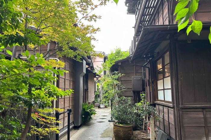 Tokyo : Stroll in the Old traditional towns~Yanaka & Nezu