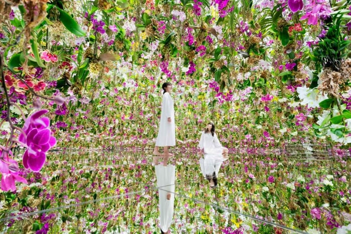 Tokyo: teamLab Planets TOKYO Digital Art Museum Entry Ticket