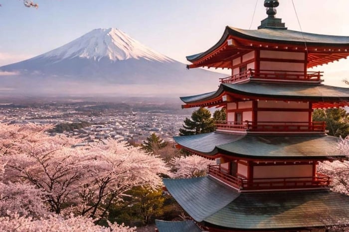Tokyo to Mount Fuji Private Day Tour Customizable