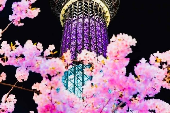 Tokyo/Yokohama: Privat kvällstur i Tokyo med upphämtning