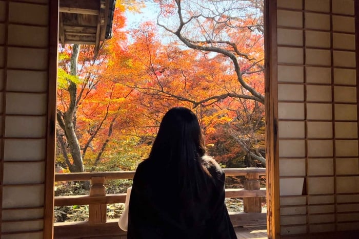Japan: Travel Vlog: Self-Shoot Guide & Video Editing Service
