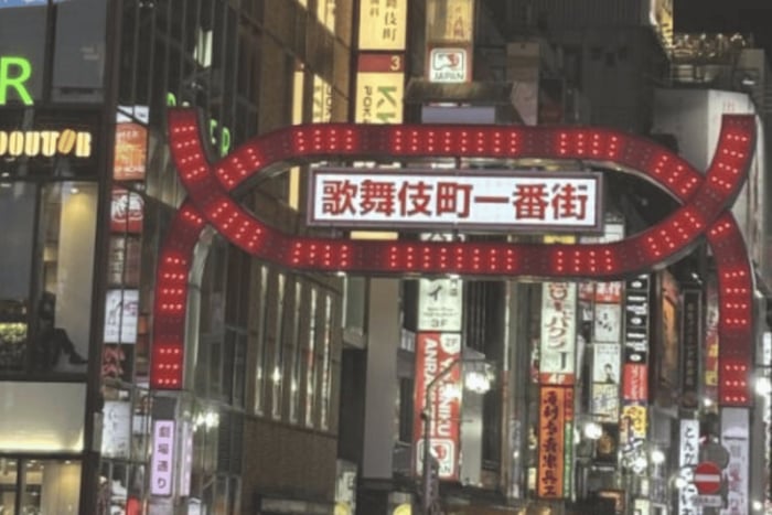 Tokyo: Kabukicho Neon Lights Guided Walking Tour