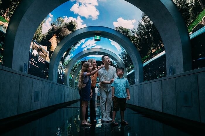 Arcadia Earth Toronto Admission