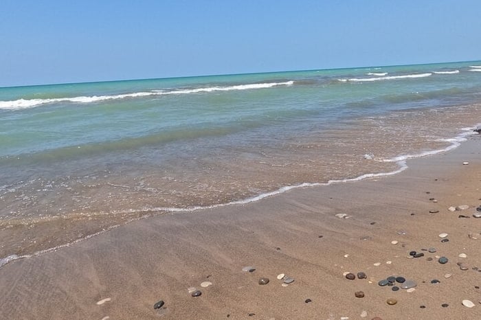 Full-Day Beach Day at Grand Bend