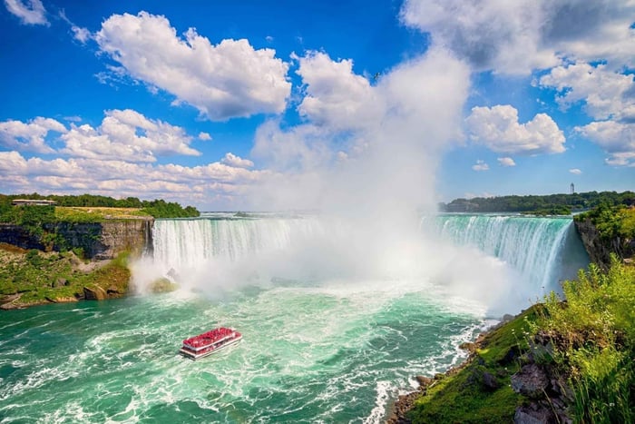 Toronto to Niagara Falls: 4 or more guests Private VIP Tour