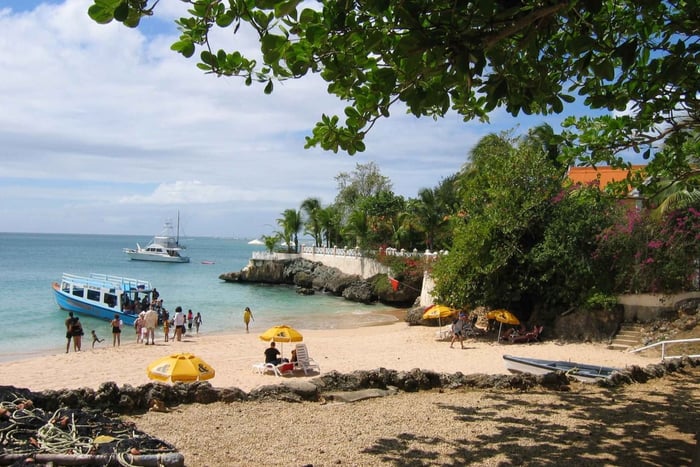 Tobago: Highlights & Tropical Garden with Hummingbirds