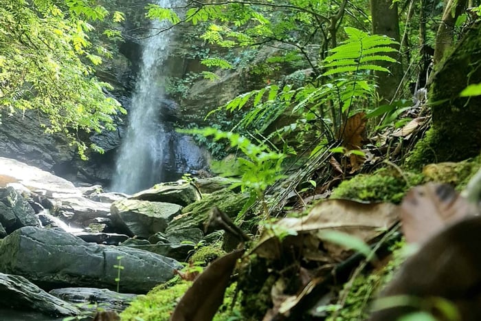 Trinidad: Vattenfallet Avocat och strandtur i Maracas Bay