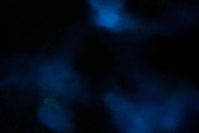 Aventure nocturne ULTIME en bioluminescence avec Brandon
