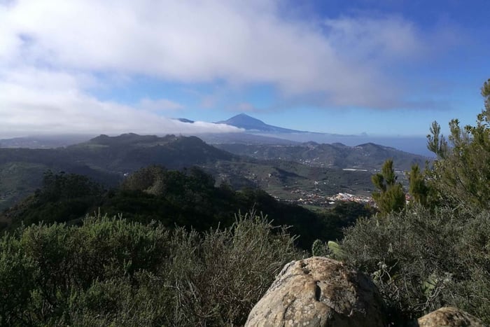 Santa Cruz de Tenerife: Tour Escursionistico di 2 Ore nella Foresta di Anaga