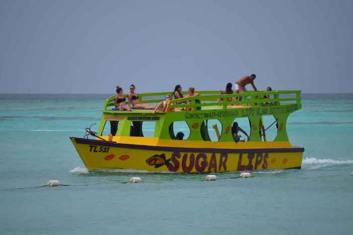 Tobago: Tour in barca con fondo di vetro e punti salienti