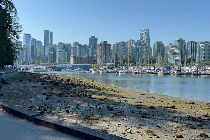 Gran recorrido circular por Vancouver en EUC y patinetes eléctricos.