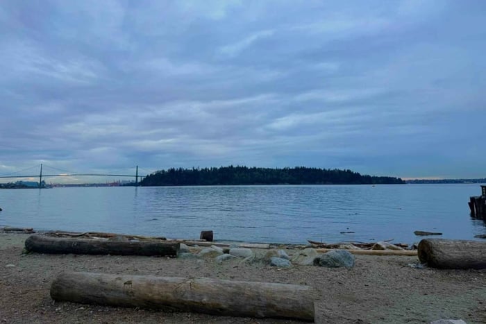 North Shore Coastlines & Hidden Views Tour