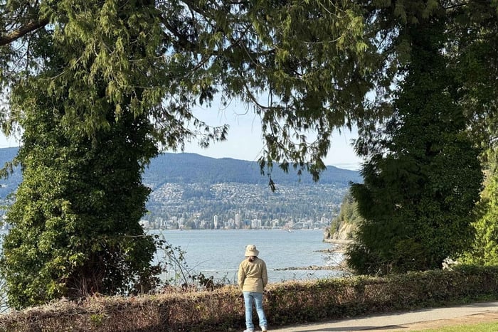 Stanley Park Tour by Car:Small Group Value,See More,Pay Less