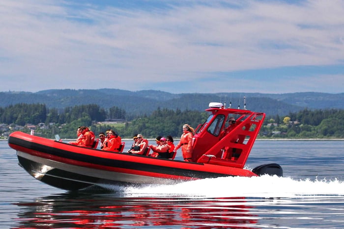 Vancouver, BC: Whale Watching Tour Small Zodiac with Guide