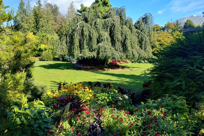 Vancouver Car Tour: See All City Attractions/Save Time&Money