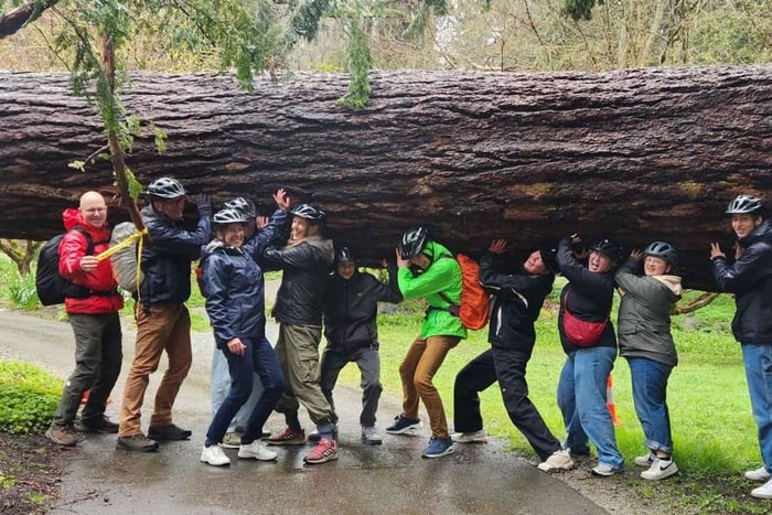 Vancouver: City Bike Tour | E-Bike Upgrade Avail. | 4-Hours
