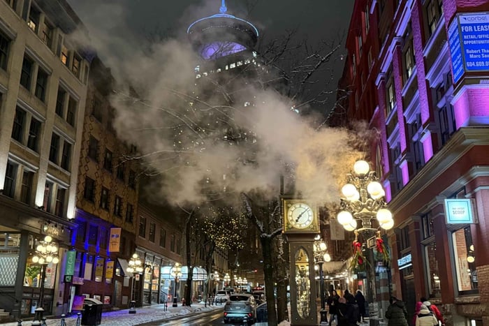 Vancouver City Tour+CAR+Grandville ISL+Queen Elizabeth/China