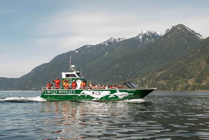 Vancouver: Open-air Whale Watching Tour, Granville Island