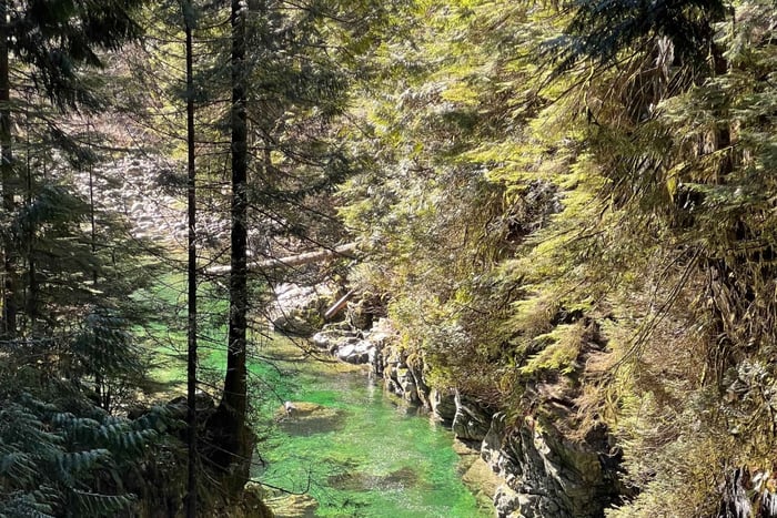 Vancouver: Rainforest Waterfall Hike and Suspension Bridge