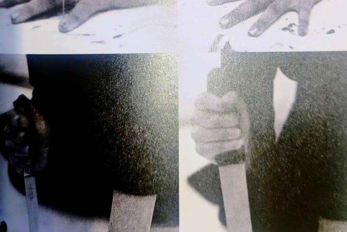 Veneza: Galeria da Academia e Tour Guiado Marina Abramović