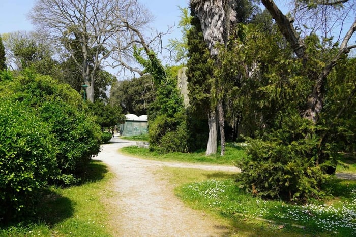 Guided Tour of the City’s Origins and the Hidden Lagoon