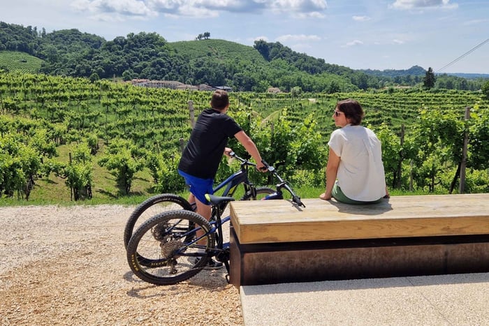 Valdobbiadene: Guided E-Bike Tour in Prosecco Hills
