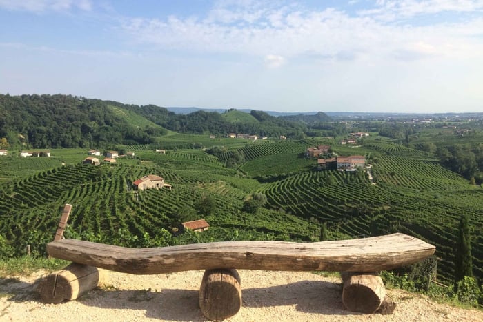 Venice: wine tour tasting along the Unesco Prosecco hills