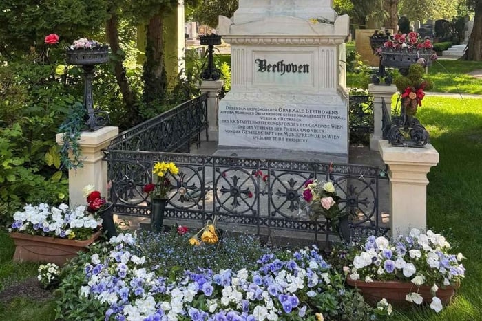 Viena: centro de la ciudad y Cementerio Central, visita guiada llena de vida y recuerdos
