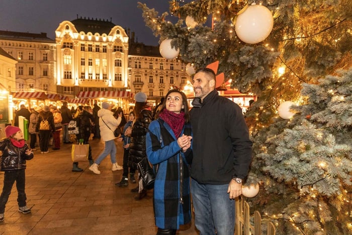 Fra Wien: Halvdagsudflugt til Bratislavas julemarked