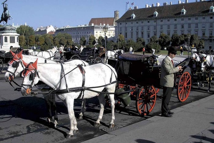 Mozart Concert with Dinner and Carriage Ride