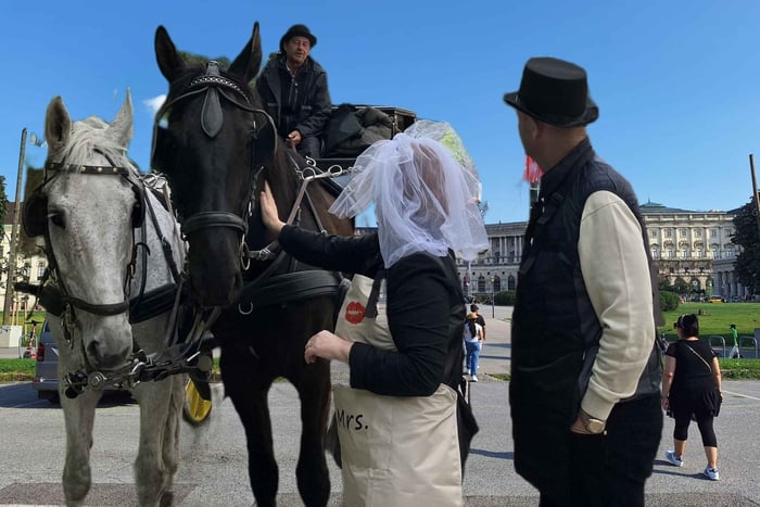 Viena: Tour Privado: Casamento e Matrimônios dos Habsburgos