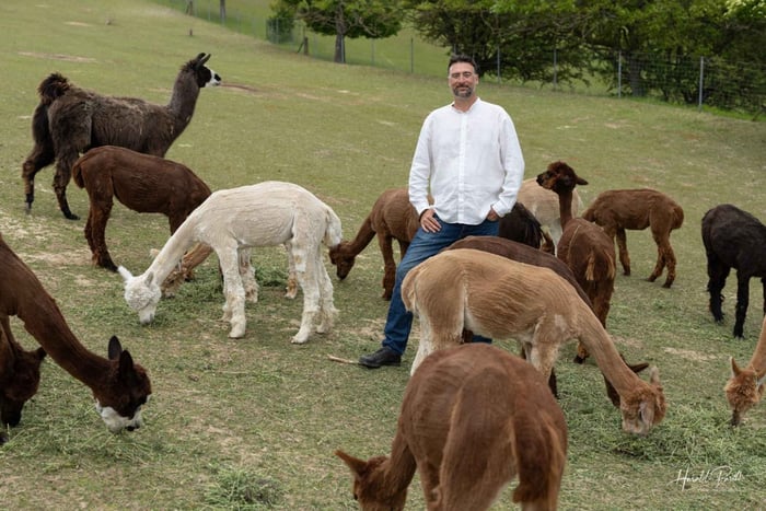 Riedenthal: rutas de senderismo con alpacas y llamas