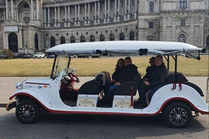 tour panoramico in un'auto d'epoca elettrica a 8 posti