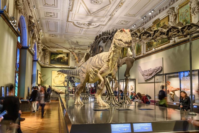 Vienna: Ticket to the Museum of Natural History